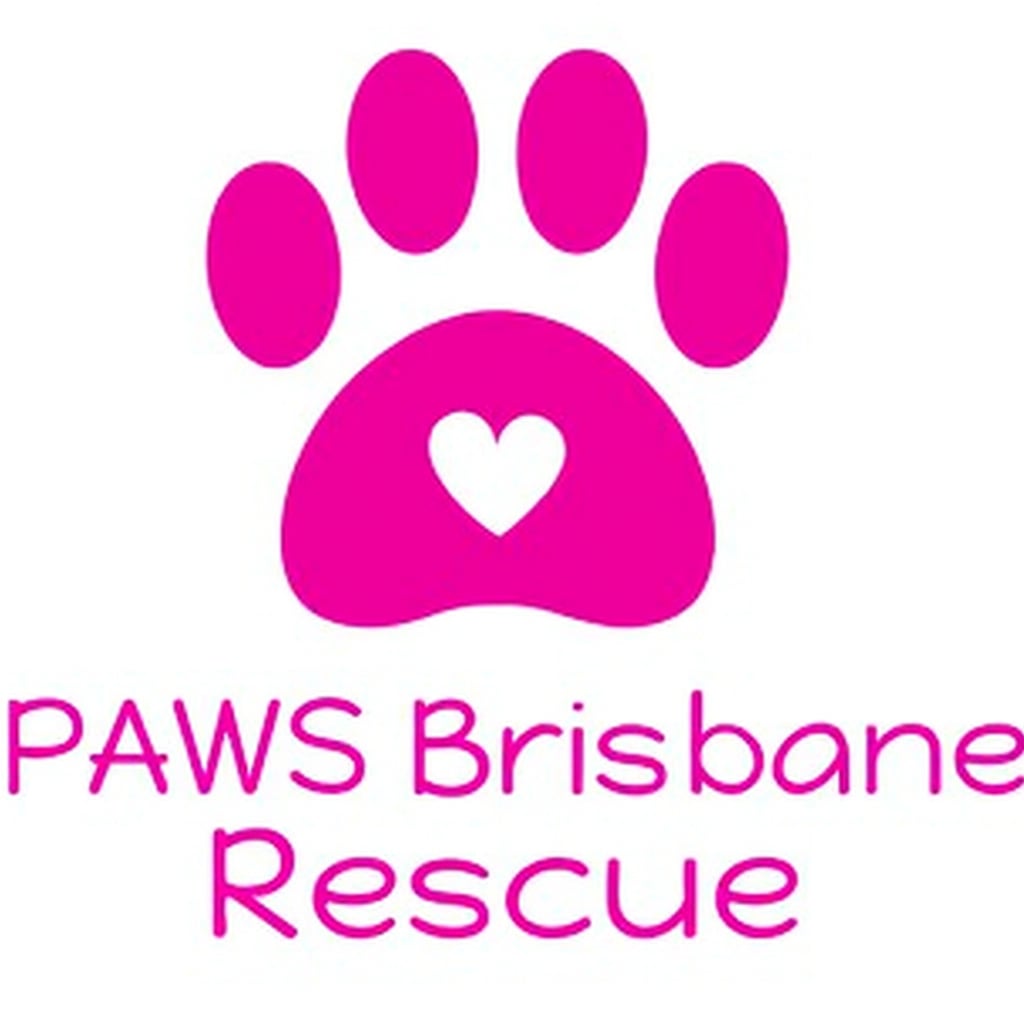 logo_pawsrescue